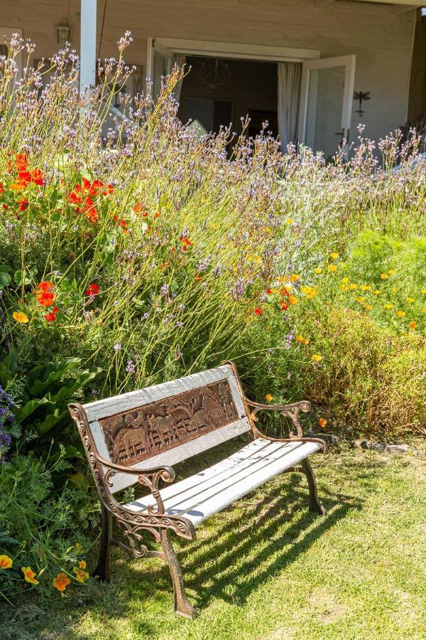 Guinea Fowl House Hotel Kommetjie Ngoại thất bức ảnh